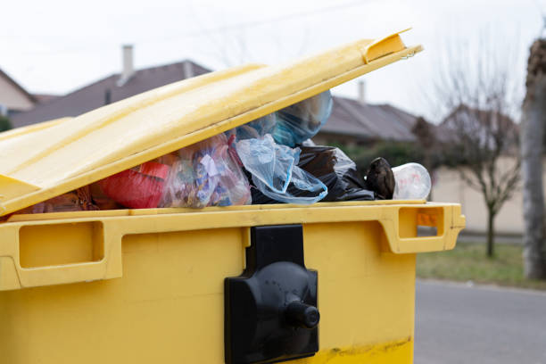 Trusted Maysville, NC Junk Removal Experts